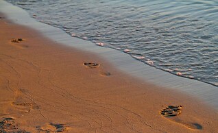 Nana Golden Beach - All Inclusive