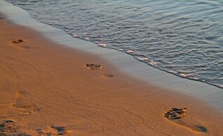 Nana Golden Beach - All Inclusive