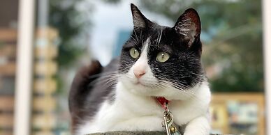 Otarunai Backpackers' Hostel MorinoKi