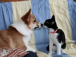 Otarunai Backpackers' Hostel MorinoKi