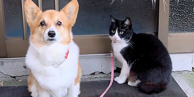 Otarunai Backpackers' Hostel MorinoKi