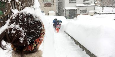 Otarunai Backpackers' Hostel MorinoKi