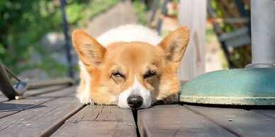 Otarunai Backpackers' Hostel MorinoKi