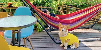 Otarunai Backpackers' Hostel MorinoKi