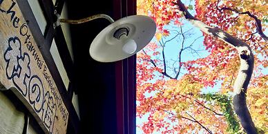 Otarunai Backpackers' Hostel MorinoKi