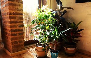 Kunterbunt Aparts Istanbul