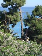 Alexander Apartments