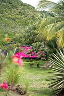 Domaine de la Palmeraie