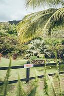 Domaine de la Palmeraie