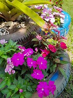 Pousada Flora Búzios