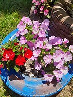 Pousada Flora Búzios