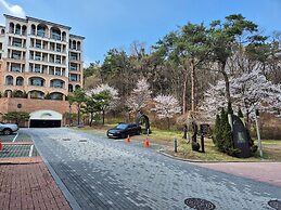 The Soom Forest Hotel