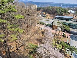 The Soom Forest Hotel