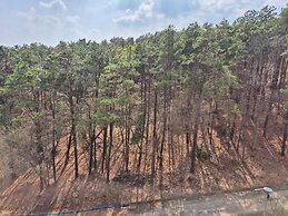 The Soom Forest Hotel