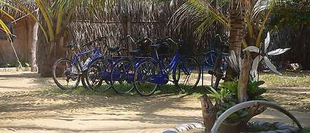 Dolphin Beach Kalpitiya