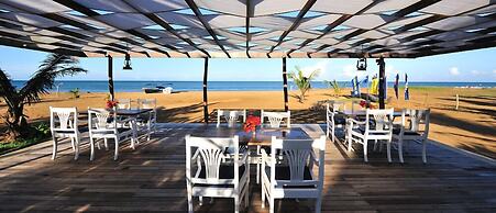 Dolphin Beach Kalpitiya