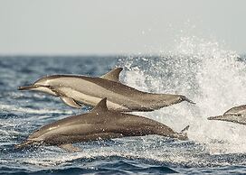 Dolphin Beach Kalpitiya