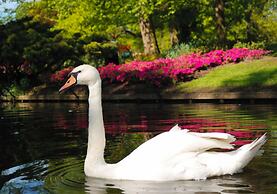 EuroParcs Noordwijkse Duinen