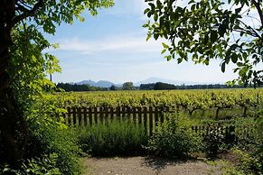 Mas du Clos de l'Escarrat
