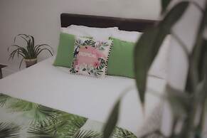 Tropica Hotel Boutique - Hostel