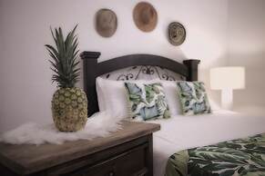 Tropica Hotel Boutique - Hostel