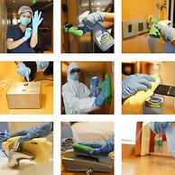 Novotel Chennai OMR Hotel