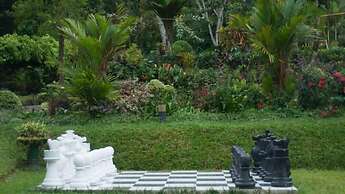 Ancoombra Tea Estate Bungalow