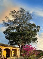 Hotel Hacienda el Salitre