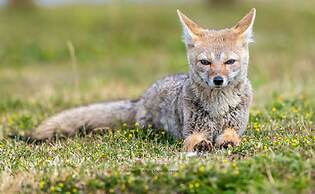 Riviera Fueguina Apartments