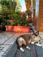 Pousada Verdes Mares