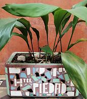 Hotel La Piedad