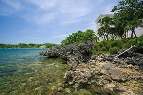 Coral Vista 3