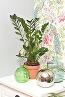 Monopoly Accommodations