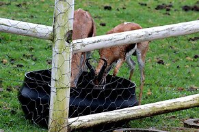 Assegaaibosch Country Lodge