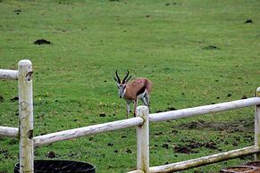 Assegaaibosch Country Lodge