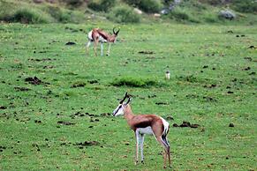 Assegaaibosch Country Lodge