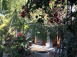 Wittedrift Manor House