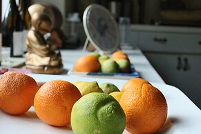 Wittedrift Manor House