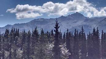 Alaska Spruce Cabin's