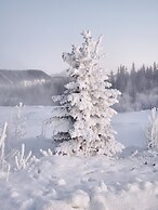 DENALI'S ALASKAN SPRUCE CABINS