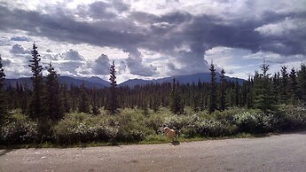 DENALI'S ALASKAN SPRUCE CABINS