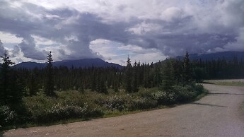 DENALI'S ALASKAN SPRUCE CABINS