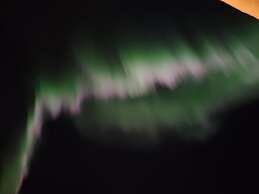 DENALI'S ALASKAN SPRUCE CABINS