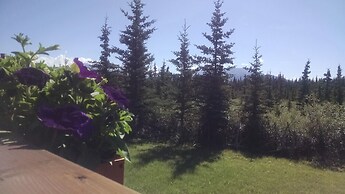 DENALI'S ALASKAN SPRUCE CABINS