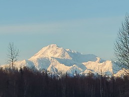 DENALI'S ALASKAN SPRUCE CABINS