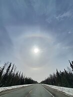 DENALI'S ALASKAN SPRUCE CABINS