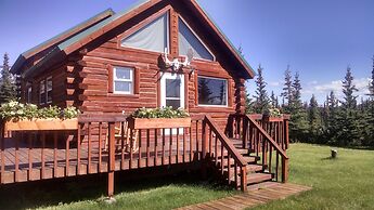 DENALI'S ALASKAN SPRUCE CABINS