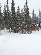 DENALI'S ALASKAN SPRUCE CABINS