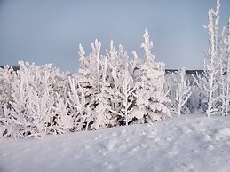 DENALI'S ALASKAN SPRUCE CABINS
