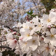 Akihabara BAY HOTEL - Caters to Women